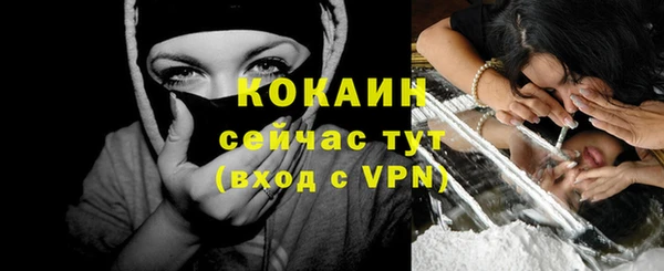 хмурый Аркадак