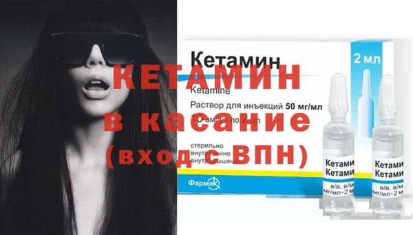 хмурый Аркадак