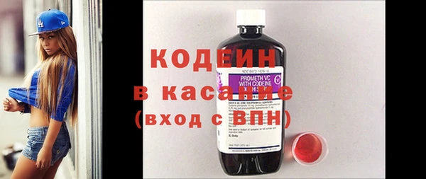хмурый Аркадак