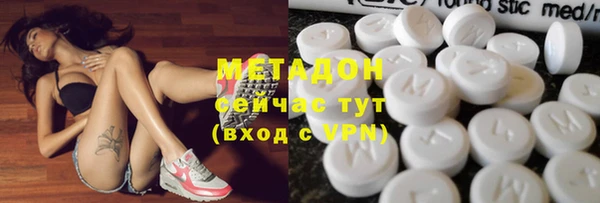 хмурый Аркадак