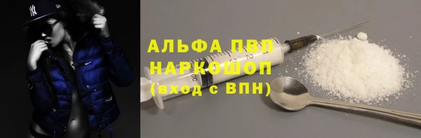 хмурый Аркадак