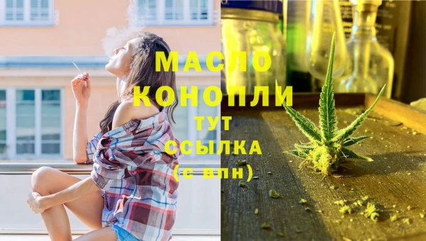 хмурый Аркадак