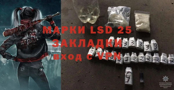 хмурый Аркадак
