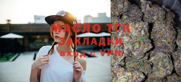 хмурый Аркадак