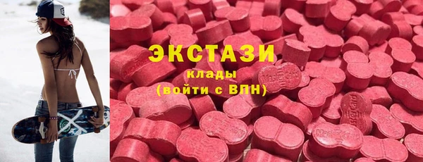 хмурый Аркадак