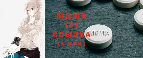 хмурый Аркадак