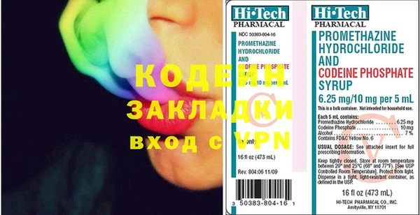 хмурый Аркадак