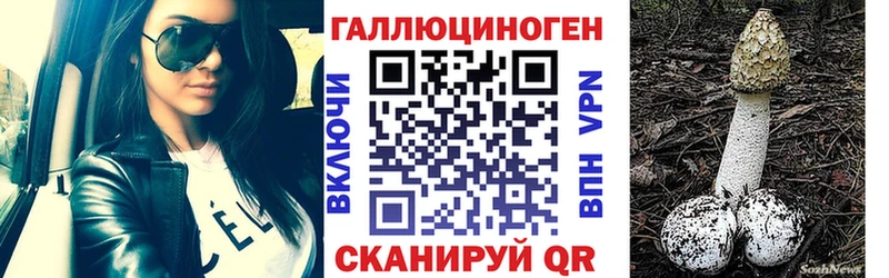 площадка состав  Сясьстрой  Галлюциногенные грибы MAGIC MUSHROOMS 